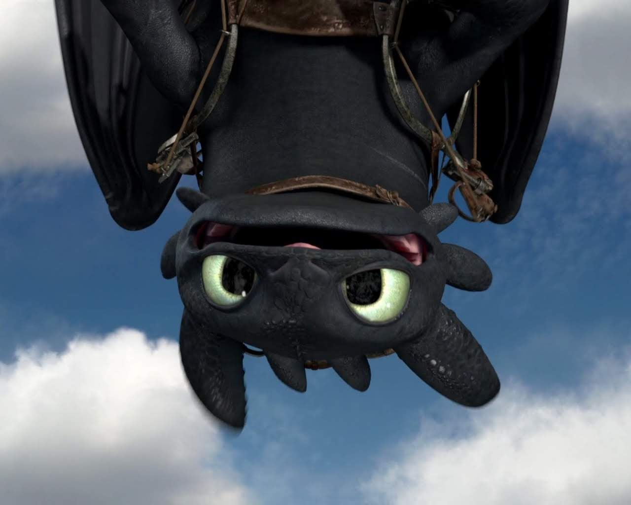 Toothless Smiling