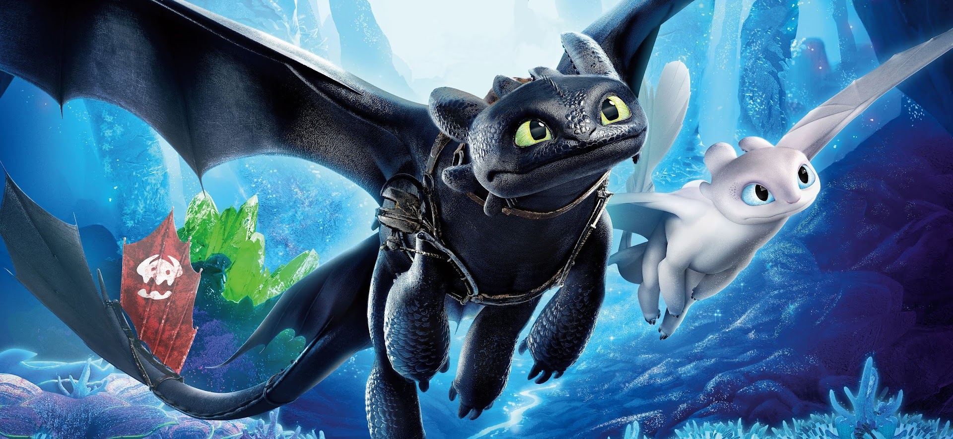 Toothless And Lightfury